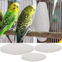 Natural Lula Osso para Aves, Mastigar Osso, Papagaio, Pássaro Comida, Suprimentos de Saúde, 10Pcs - Image 1