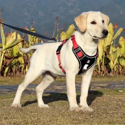 Colete de arnês reflexivo para cães, Correias de segurança ajustáveis para cães médios e grandes, Arreios ambulantes, Buldogue Francês - Image 5