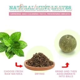 Natural Catnip gato rotativo parede bola brinquedos, lambendo lanches, nutrição saudável bola, limpeza dos dentes brinquedo, Pet fornecimentos - Image 4