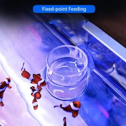 Claro arcylic aquário alimentador de peixes anti-deriva camarão ovo peixe comida alimentação anel betta tanque de peixes copo de alimentação acessórios de aquário - Image 5