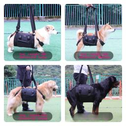 Sling portátil do cão para as pernas traseiras, Hip Support Harness, Older Limping Canine Aid, Dog Assist Reabilitação Lifting Leashes - Image 3