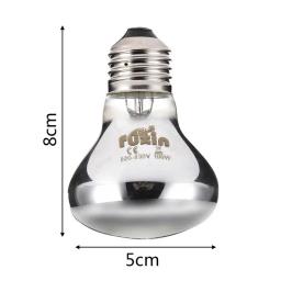 Lâmpada Réptil para Aquecimento de Animais, E27 Luz Noturna, Lâmpada de Serpente Anfíbia, 25W, 50W, 100W, AC 220-230V, Inverno Quente - Image 6