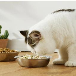 Tigela dupla para gatos, tigela elevada inclinada única/dupla para animais de estimação, tigela de comida de aço inoxidável, suporte de madeira, alimentador de cães, suprimentos para gatos - Image 6