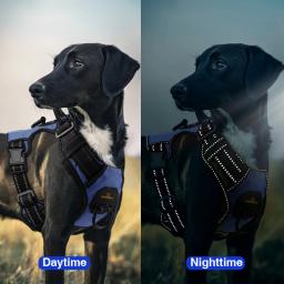 MasbriLL-Nylon Ajustável No Pull Pet Harness, Colete Reflexivo para Cachorro, Chumbo Veicular de Segurança, Caminhada e Corrida, Médio e Grande Safado - Image 6