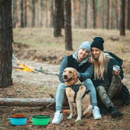 Tigela dobrável de comida e água com lábio para pet, cachorro portátil com mosquetão, pet fornecimentos, viagem ao ar livre, tigela para cachorro - Image 5