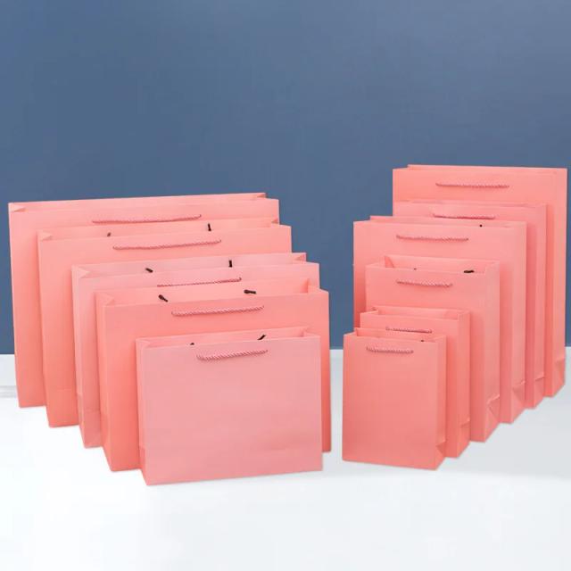 Conjunto de 10 Sacos de Presente Kraft Marrom e Branco com Alças - Ideais para Aniversários, Compras e Armazenamento de Cosméticos