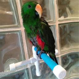 Ventosa para animais de estimação, pássaros, papagaios, banho, chuveiro, plataforma de pé, bastão duplo, suporte de moagem, estação, poleiros interessantes - Image 2