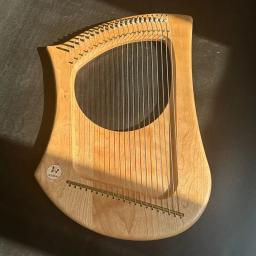 Portátil Profissional Lira Harpa, 22 Cordas, Luxo Rosewood, Escala Diatônica, Performance Musical, Instrumentos de Cordas Raras - Image 2