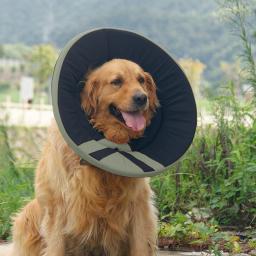 Anti-lamber anti-mordida gato cão saúde suprimentos para animais de estimação ferida cura collar elizabetano pescoço cone recuperação cão collar capa de proteção - Image 4