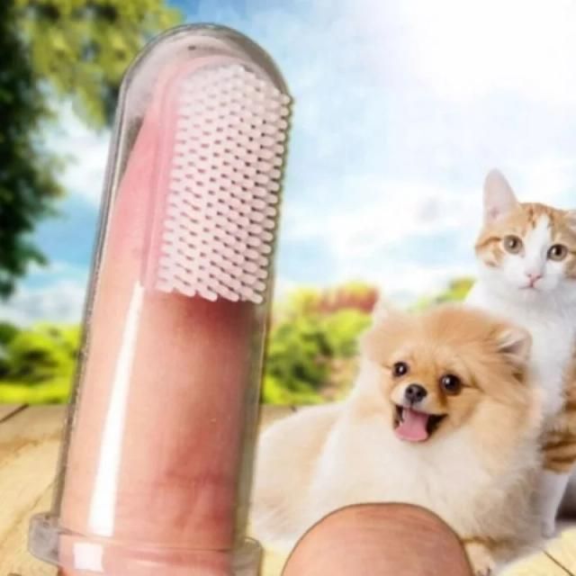 Escova de Silicone para Pets: Limpeza Eficiente para Cães e Gatos (5x2cm)