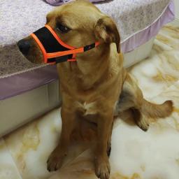 Focinho de cachorro de malha respirável para cães, latindo morder, acessórios para animais, pequenos, médios, grandes cães, suprimentos - Image 4
