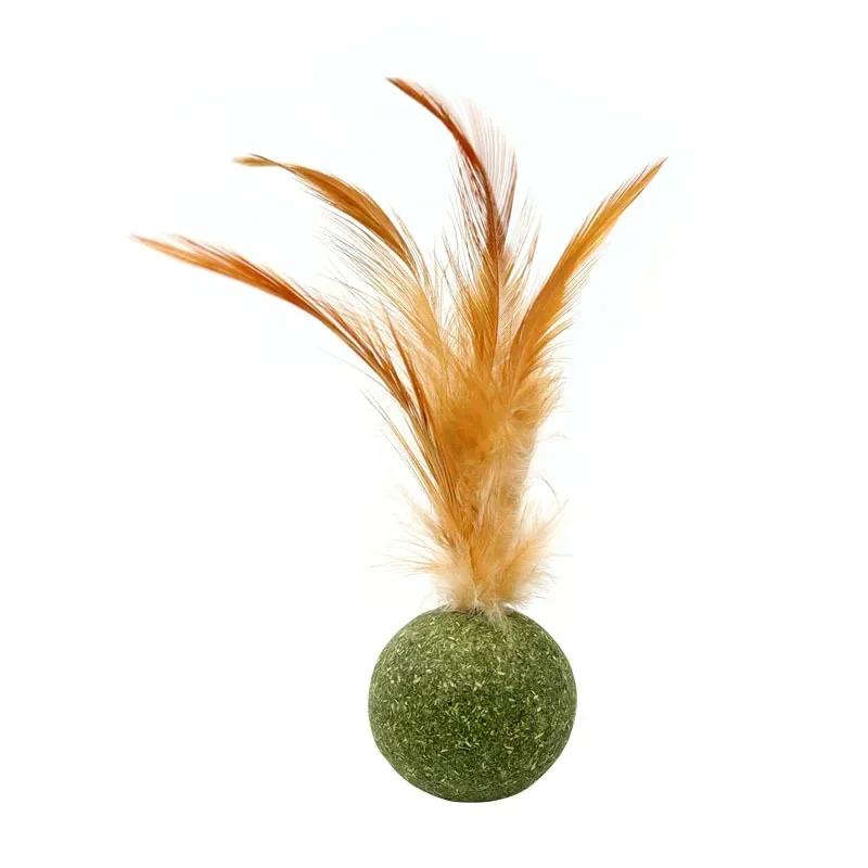 Pet Mint Catnip Toy para gatos Bola de segurança comestível Jogo de Perseguição Doméstica Saudável, Produtos de brinquedo Dentes limpos - Image 1
