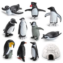 Ciclo de crescimento plástico realista pinguim estatuetas variedades de pinguins polar ártico figuras animais ovos de páscoa bolo toppers presente - Image 5