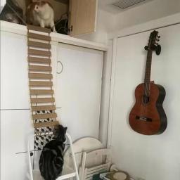 Cat Bridge for Cats Cage, Sisal Wooden Rope Ladder, Pet Furniture, Kitten Step, Scratcher Post, Kitten Toys, Tree, Vários tamanhos - Image 6