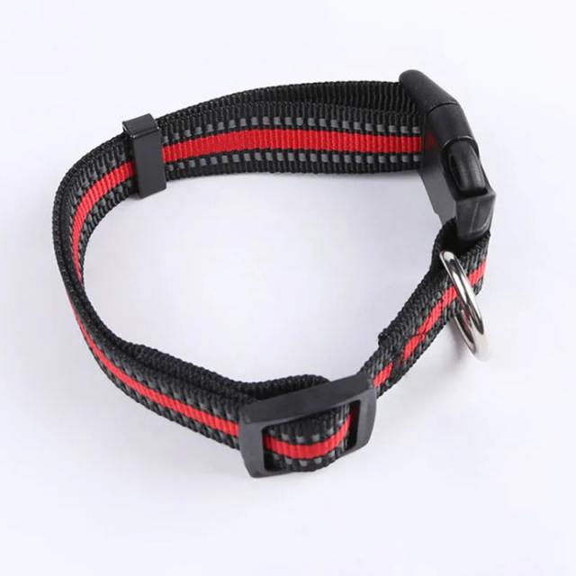 Coleira Ajustável e Durável para Cães e Gatos - Reflexiva, em Nylon, Ideal para Animais de Estimação de Todos os Tamanhos