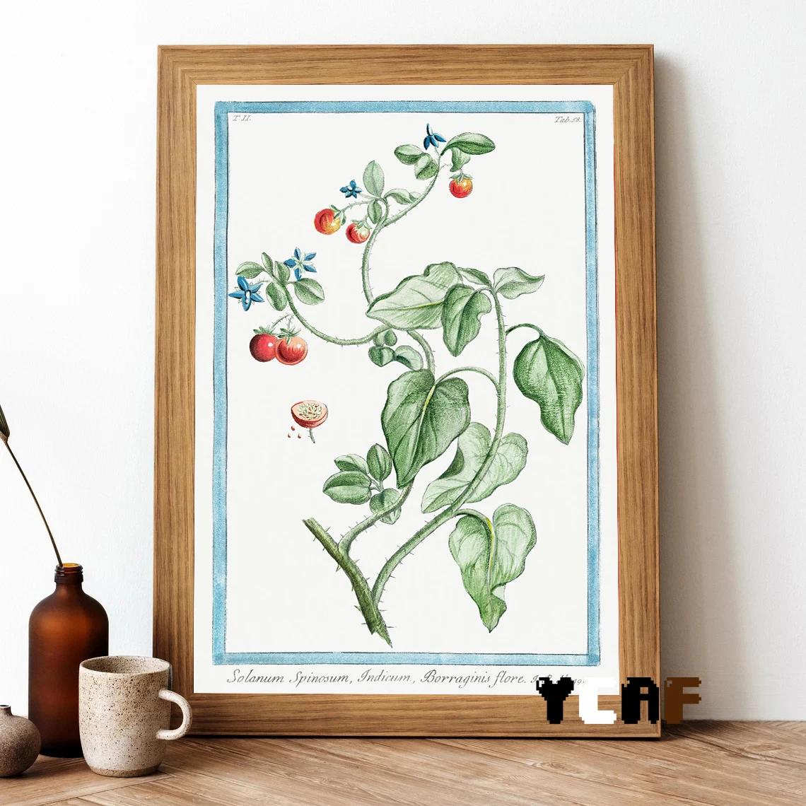 Vintage Fine Art Print, Cartaz de flores e vegetais, Impressões em Tela, Cozinha Home Wall Art Decor, Sala de Jantar Decoração Estética, Retro - Image 1
