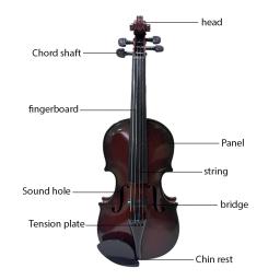 Simulado violino kit prática musical, instrumento musical, adereços desempenho, cordas ajustáveis, presentes para iniciantes - Image 5