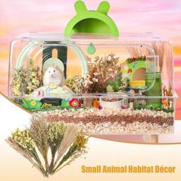 Nature Flower Herb Bedding Decor, Hamster Cage Suprimentos para Gerbils Coelho e Outros Pet Pequeno - Image 5