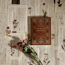 Artigos Retro Série de Páginas de Livros, Páginas de Livros Antigos, Texto, Plantas, Jornal, Papel Material Decorativo, 60 pcs - Image 2