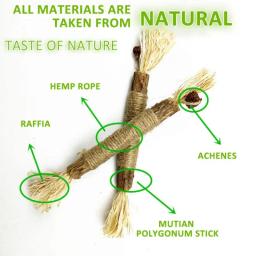 Polygonum Catnip Stick para gatos, Cat Snacks, Molar Stick, Clear Toy, Respiração, Natural, Mastigar Brinquedos, Versátil, Claro, Placa, Gato - Image 4
