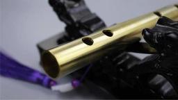 Profissional tubo de bronze g f e flauta chave flauta de metal chinês clássico woodwind instrumento musical para alunos iniciantes - Image 3