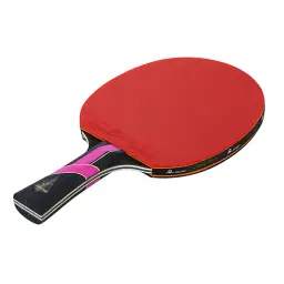 Raquete de tênis de mesa profissional com saco 3 Star Spin Control 7 Ply Wood Ping Pong Bat Punho longo Profissional - Image 2