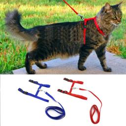 Ajustável respirável pet peito cinta, trela gato ao ar livre, portátil pet treinamento, andando dispositivo, bonito - Image 3