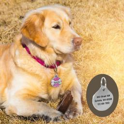 Etiqueta personalizada da identificação do cão etiquetas personalizadas do gato dos cães placa de identificação livre gravado filhote de cachorro gatinho colar pingente anti-lost acessórios do animal de estimação - Image 6
