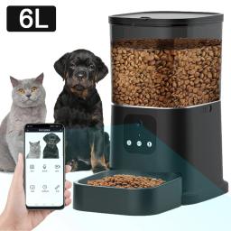 6l alimentador de gato câmera de vídeo temporização inteligente alimentador de animais de estimação para gatos cão wifi app inteligente seco autom dispensador de alimentos com gravação de voz - Image 1