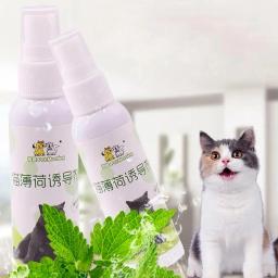 Cat Catnip Spray saudável ingredientes, gatinhos hortelã, Pet Toy, saudável, engraçado, suprimentos naturais, gatos arranhando, gatinho, A6P2, 1 pc - Image 5