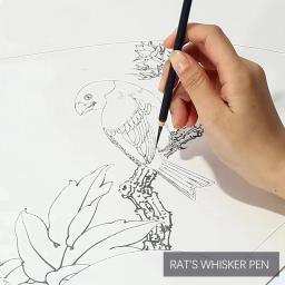 Caligrafia chinesa pincéis para pintura e escrita, japonês kanji japonês sumi, conjunto de 19 peças - Image 4