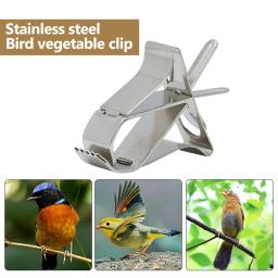 Clipes de frutas e vegetais de aço inoxidável, Pet Plastic Clips, Alimentador de animais pequenos papagaio, Ferramenta de alimentação - Image 1