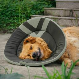Anti-lamber anti-mordida gato cão saúde suprimentos para animais de estimação ferida cura collar elizabetano pescoço cone recuperação cão collar capa de proteção - Image 3