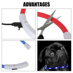 Coleira de carga luminosa noturna para animais de estimação, coleira brilhante intermitente, Dog Loss Prevention, LED USB, segurança noturna, Pet Acessórios - Image 5