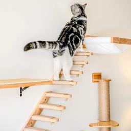 1pcCat Coçar Escalada Post Wall-montado Cat Hammock Bed Pet Móveis Kitten Wall Shelf Set Cat Perch Madeira Cat Tree House - Image 1