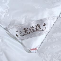 Lanlika-Luxo Branco Natureza Colcha De Seda, 100% Consolador De Seda, Calor Jacquard Edredon, toda a temporada, duplo, rainha, rei Cobertor Do Sono, 1Pc - Image 5