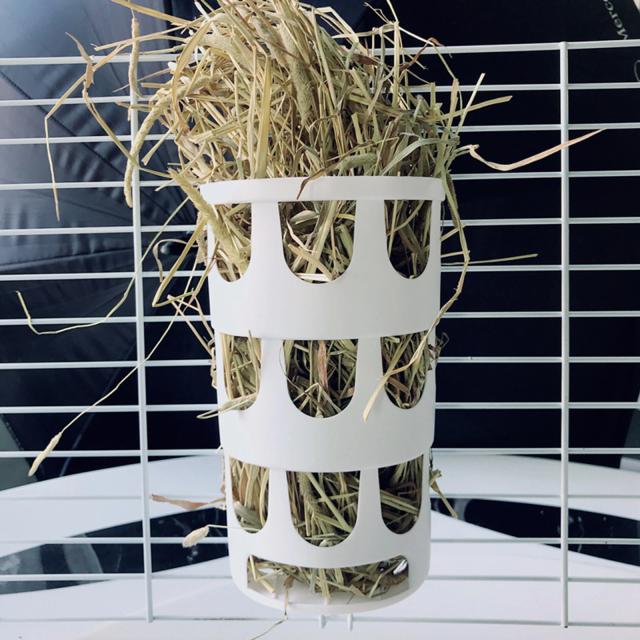 Alimentador Durável de Feno para Coelhos e Pequenos Animais de Estimação, Ideal para Chinchilas e Ouriços