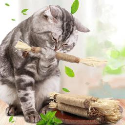 Mastigar Varas para Energizar Gatos O Gato Morde e Exercícios O Brinquedo, Indoor Pet Tooth Cleaning Tools, Eco-Friendly Kitten Products - Image 1