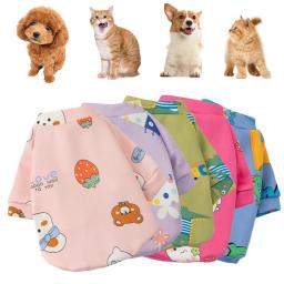 Desenhos animados impressos camisola macia para cães pequenos, Chihuahua roupas, quente Pet Outfit, roupas de inverno, novo - Image 2