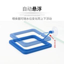 Plástico flutuante alimentador de alimentos para aquário, peixe alimentação suprimentos, flutuabilidade círculo, quadrado e redondo anel de alimentação, tanque de peixes acessório - Image 4