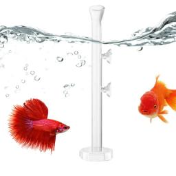 Tubo De Alimentação De Vidro De Cristal Para Tanque De Peixes, Prato De Alimentação De Camarão, Tigela De Aquário, Suprimentos De Alimentação Clara - Image 5