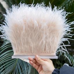 Penas de avestruz naturais para decoração do casamento, pluma fofa tingida, roupas de costura, Carnaval, artesanato franja, 8-10cm, 1m - Image 4