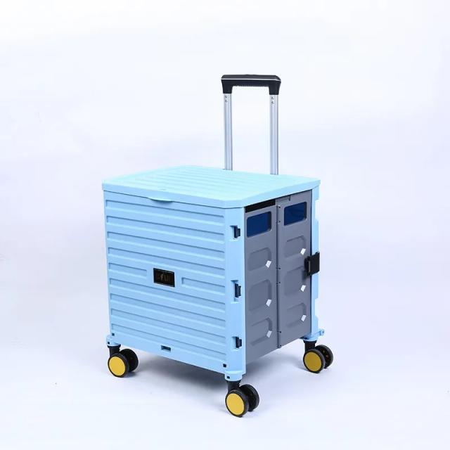 Bolsa Dobrável para Transporte de Pets - Carrier para Cães e Gatos, Prática e Portátil para Viagens