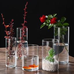 Vaso De Vidro Transparente De Tubo Reto Ecológico, vaso De Flores De Borosilicato Alto Criativo Paisagem, Decoração De Casa - Image 5