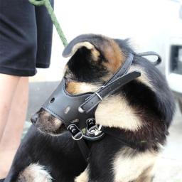 Focinho anti-latido do cão, Boca de estimação ajustável respirável macio couro PU, Anti-morder Pet fornecimentos, cão de pequeno e grande porte - Image 3