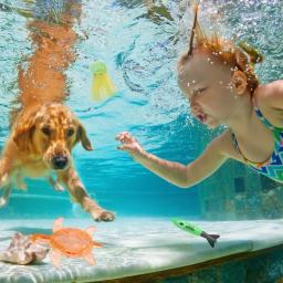 Crianças jogo de mergulho brinquedos conjunto esportes aquáticos jogando brinquedo treinamento mergulho piscina brinquedos para atividades verão e jogos ao ar livre - Image 4