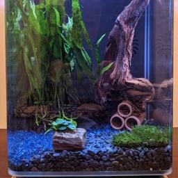 Grande Decoração De Aquário De Cerâmica, Abrigo De Camarão De Peixe, Cerâmica Escorpião Casa, Canister Simulação De Pedra, Decoração De Tanque De Peixes - Image 4