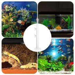 Tubo De Alimentação De Vidro De Cristal Para Tanque De Peixes, Prato De Alimentação De Camarão, Tigela De Aquário, Suprimentos De Alimentação Clara - Image 3