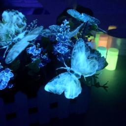 30g/garrafa pigmento fluorescente tintas luminosas de longa duração que brilham no escuro diy tintas acrílicas para arte festa resina suprimentos - Image 6