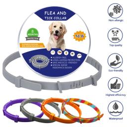 Coleira antipulgas ajustável para animais de estimação, carrapatos, mosquitos, ao ar livre, proteção de longo prazo, filhotes, gatos, cães, 8 meses, novos acessórios - Image 2